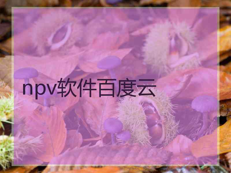 npv软件百度云