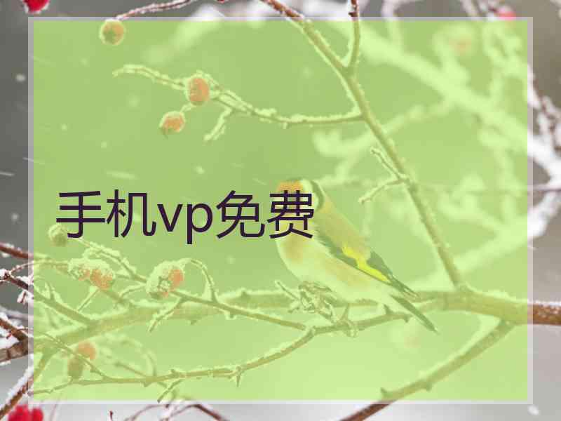 手机vp免费