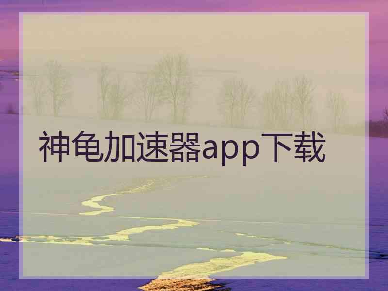 神龟加速器app下载