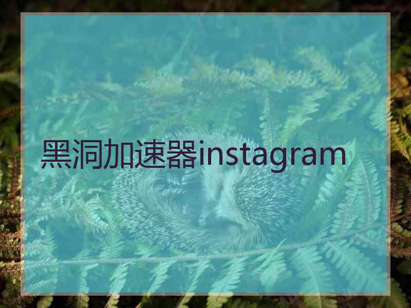 黑洞加速器instagram