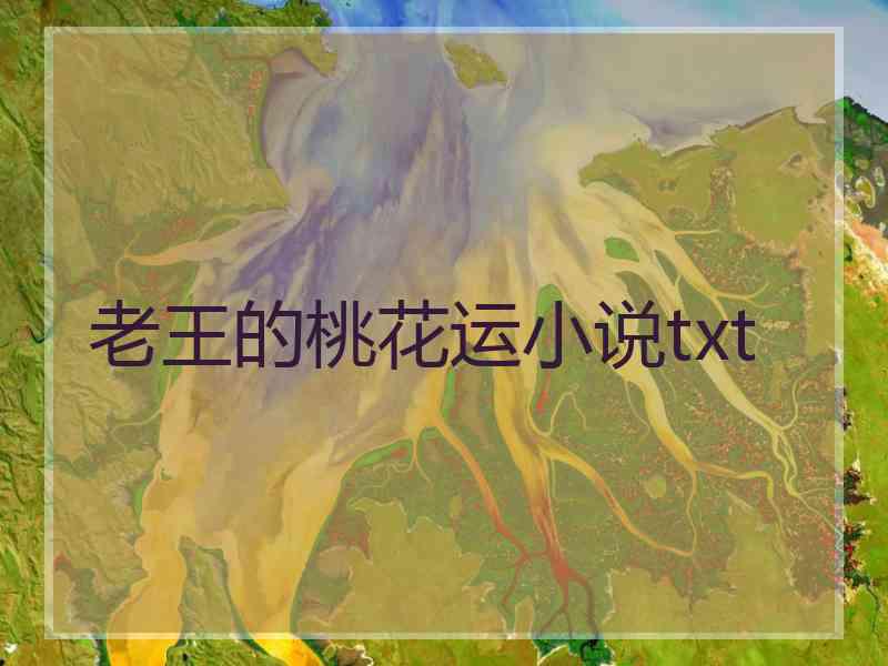 老王的桃花运小说txt