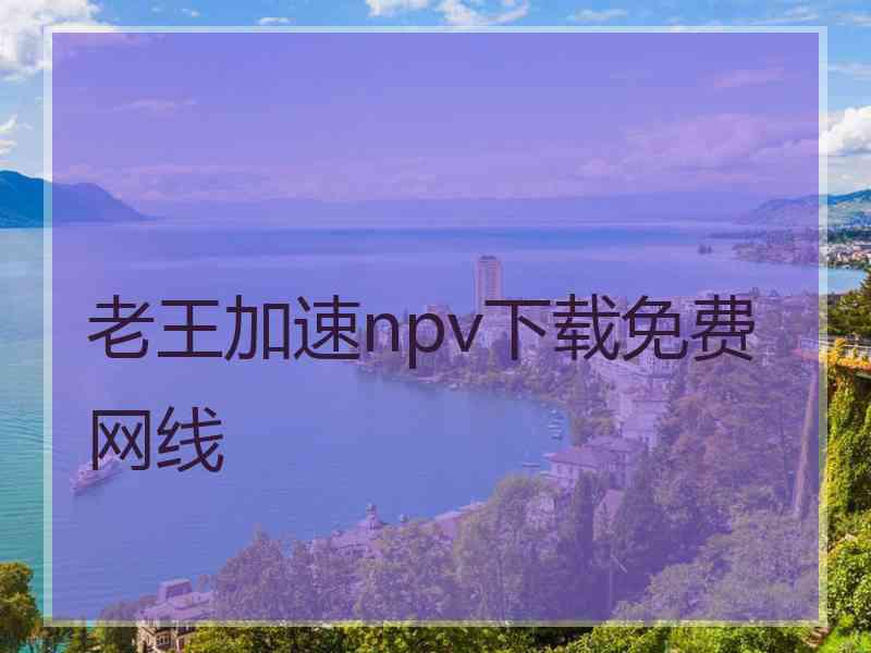 老王加速npv下载免费网线