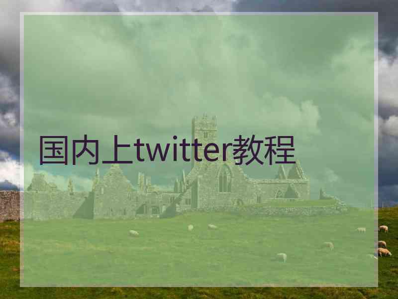 国内上twitter教程