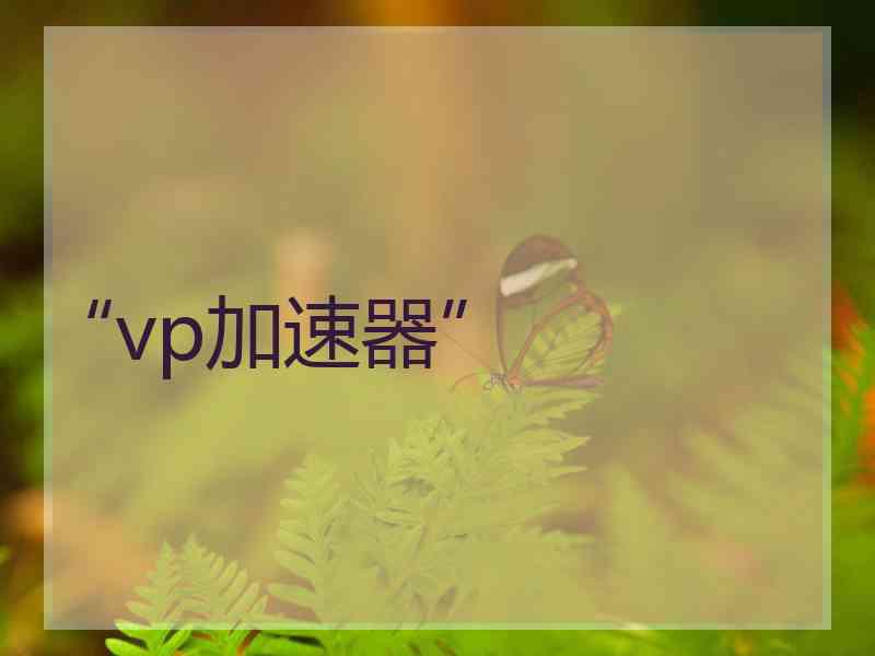 “vp加速器”