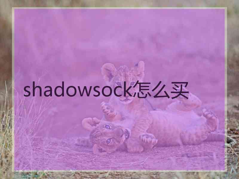 shadowsock怎么买