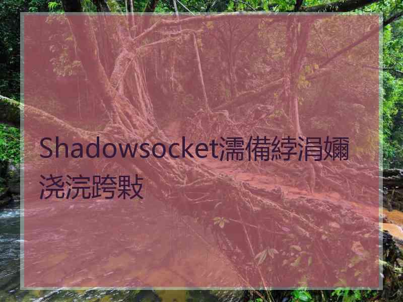 Shadowsocket濡備綍涓嬭浇浣跨敤