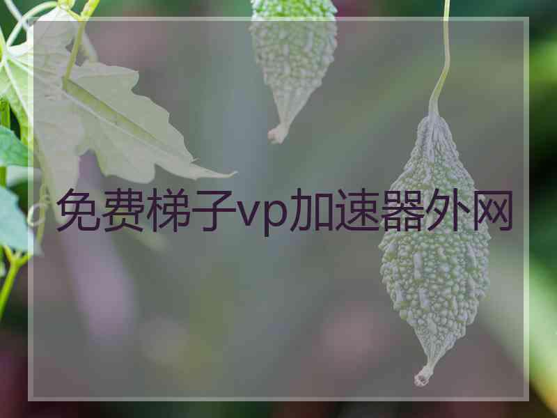 免费梯子vp加速器外网