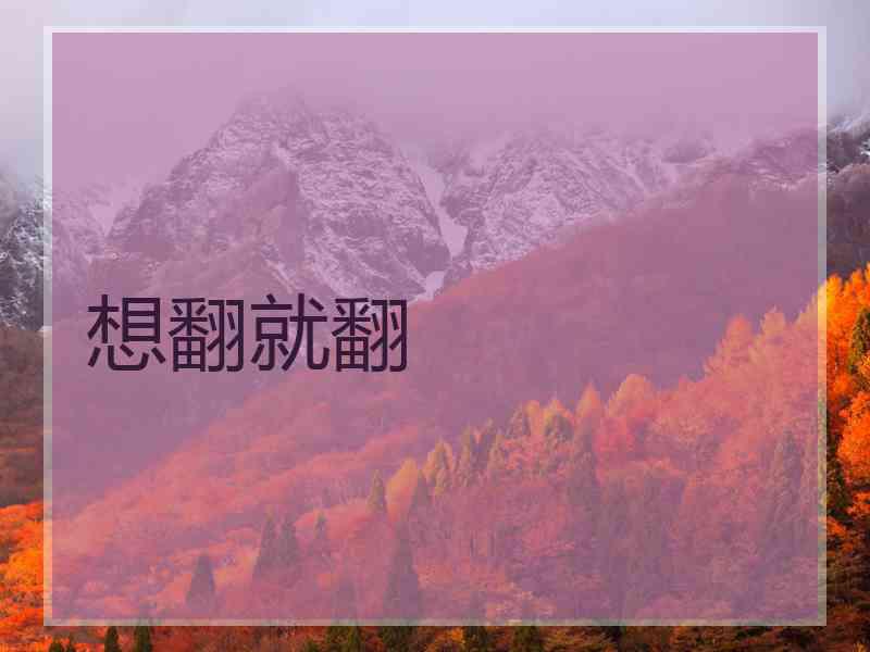 想翻就翻