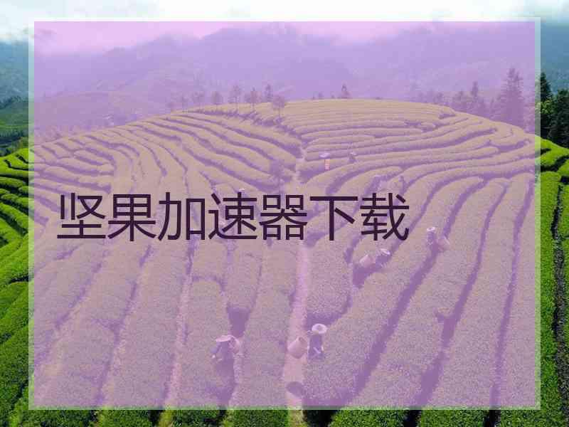 坚果加速器下载