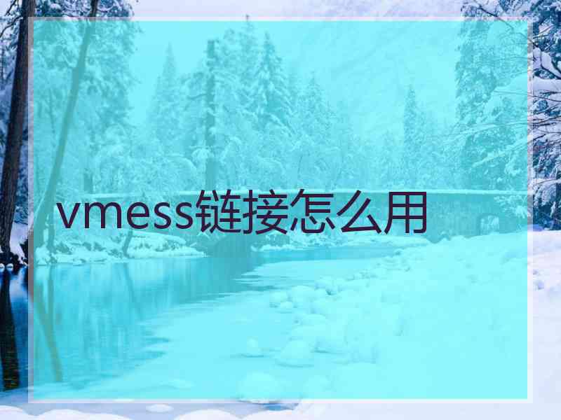 vmess链接怎么用