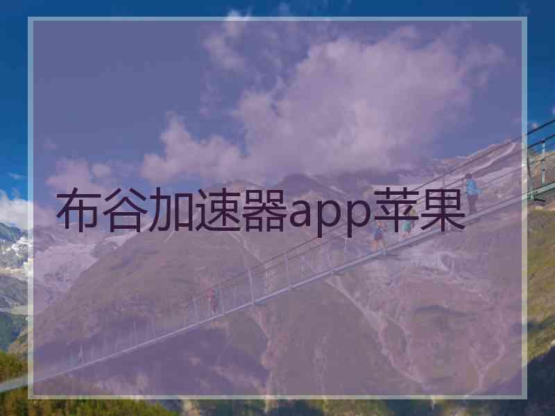 布谷加速器app苹果