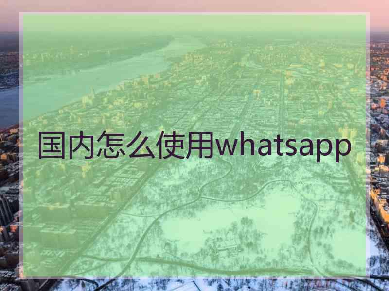 国内怎么使用whatsapp