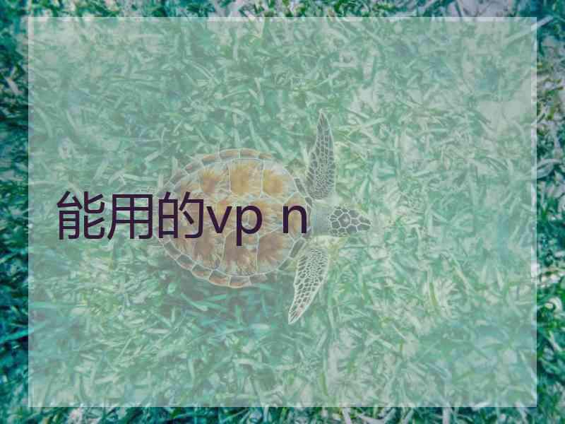 能用的vp n