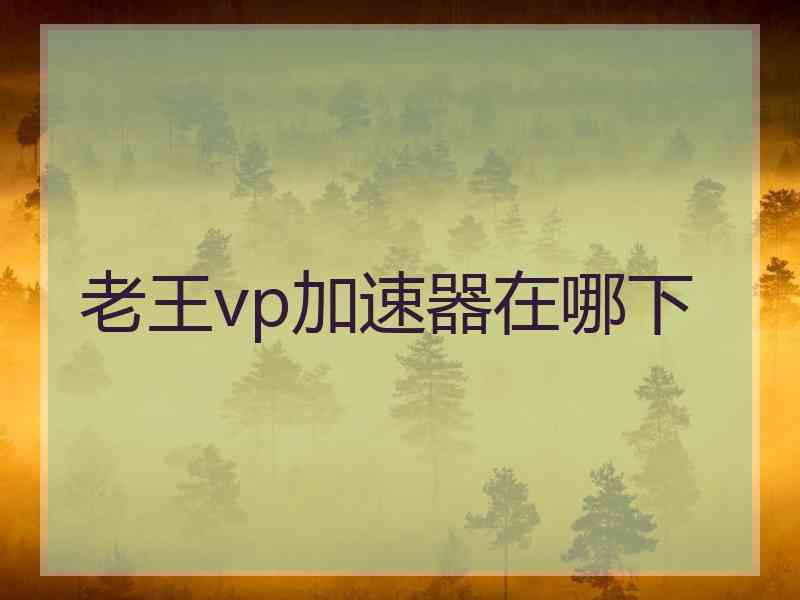 老王vp加速器在哪下