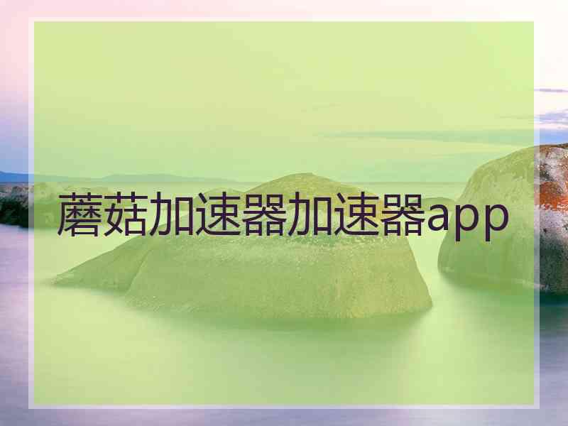 蘑菇加速器加速器app