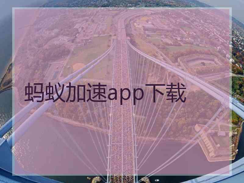 蚂蚁加速app下载