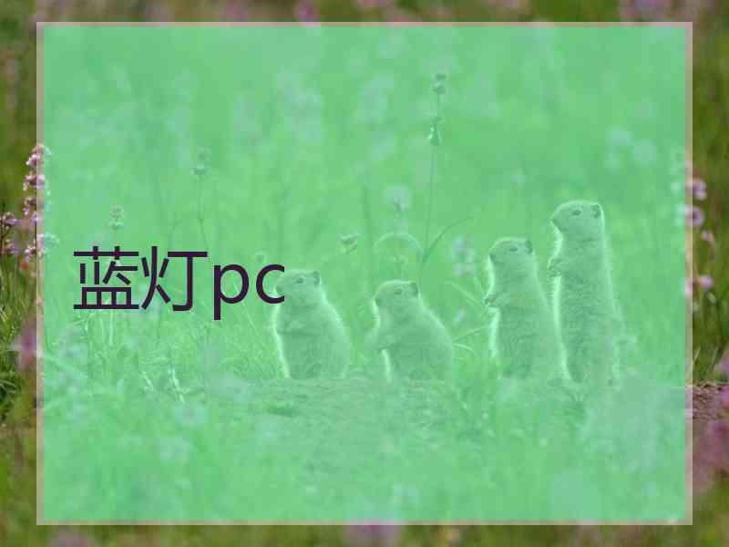 蓝灯pc