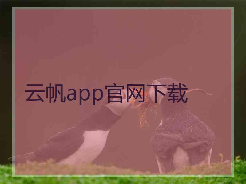 云帆app官网下载