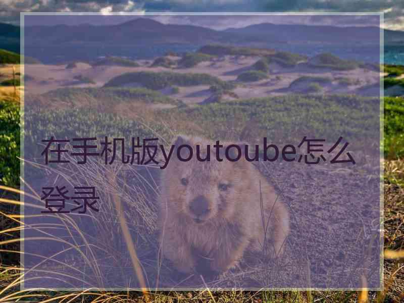 在手机版youtoube怎么登录