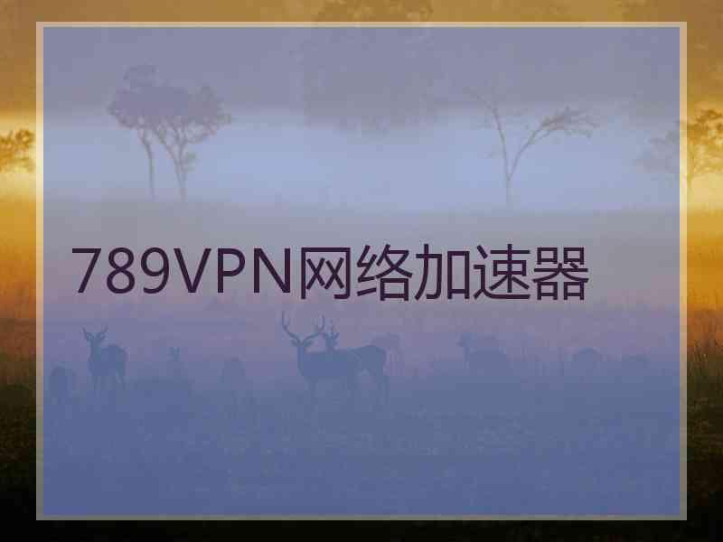 789VPN网络加速器