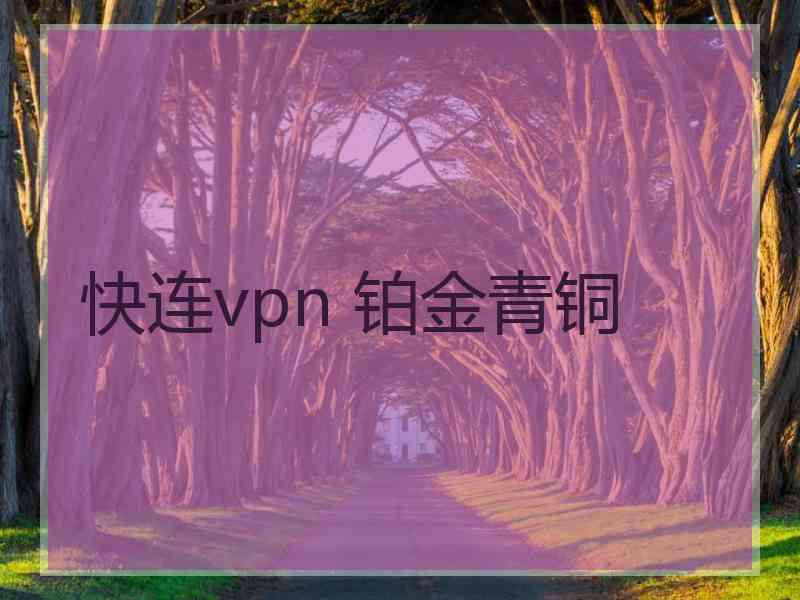 快连vpn 铂金青铜