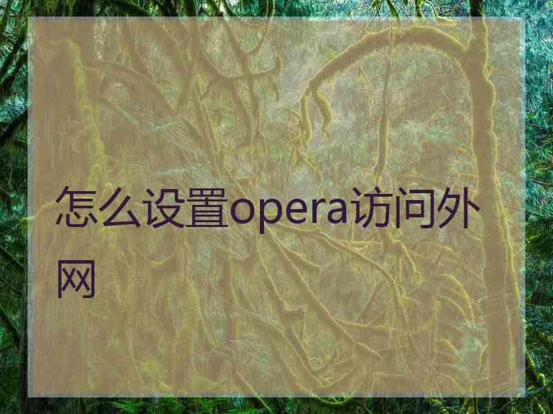 怎么设置opera访问外网