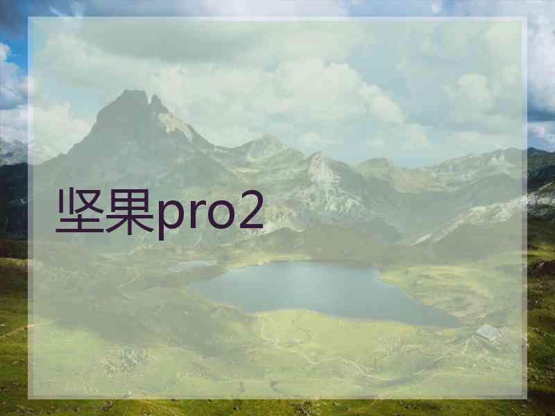 坚果pro2