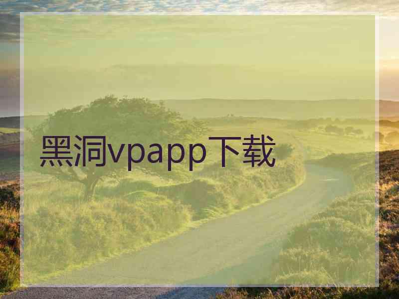 黑洞vpapp下载