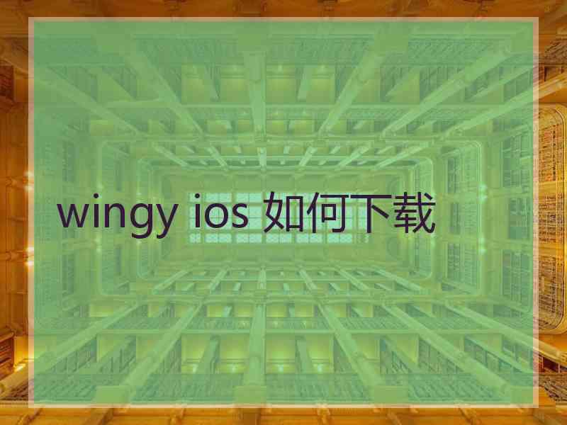 wingy ios 如何下载