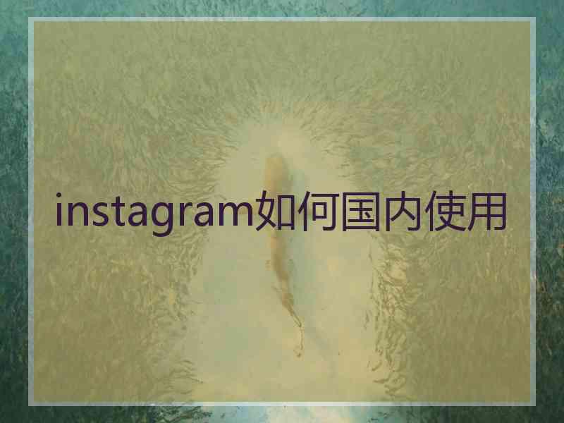 instagram如何国内使用