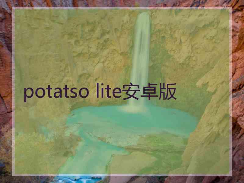 potatso lite安卓版