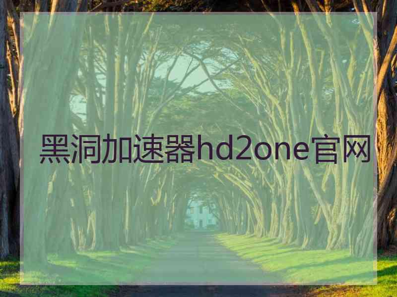 黑洞加速器hd2one官网