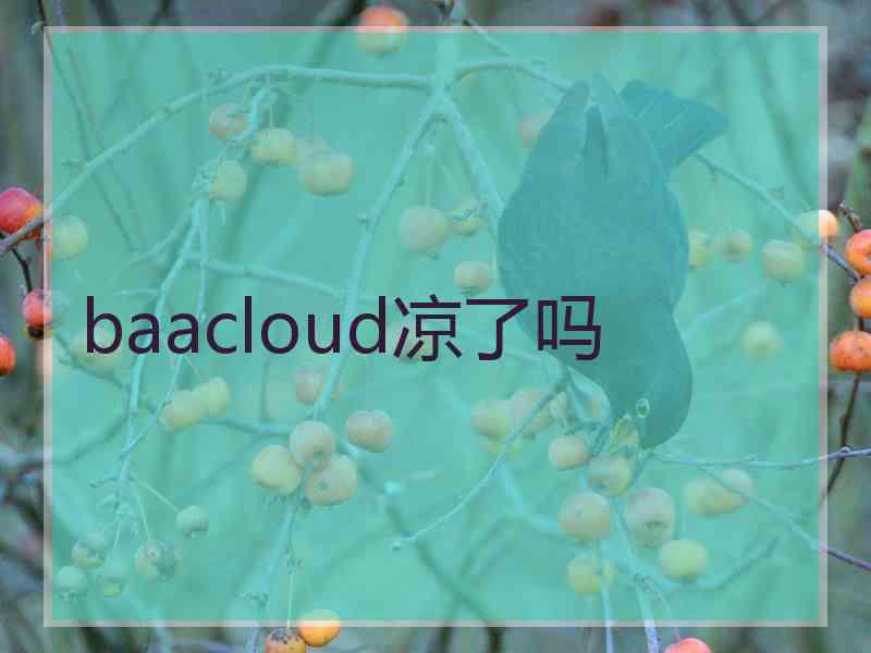 baacloud凉了吗