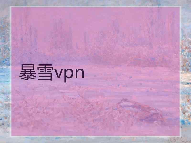 暴雪vpn