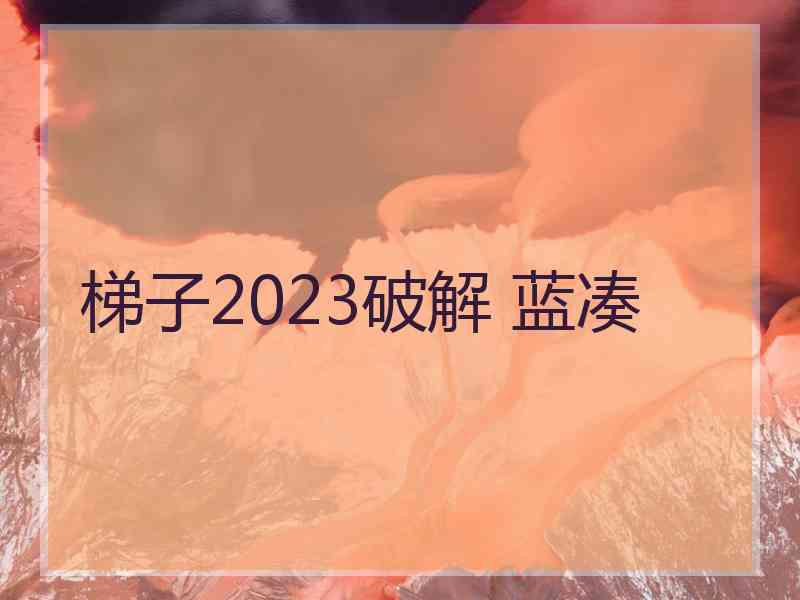 梯子2023破解 蓝凑