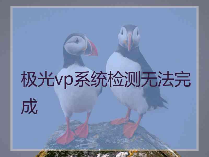 极光vp系统检测无法完成