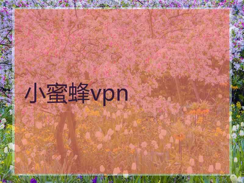 小蜜蜂vpn