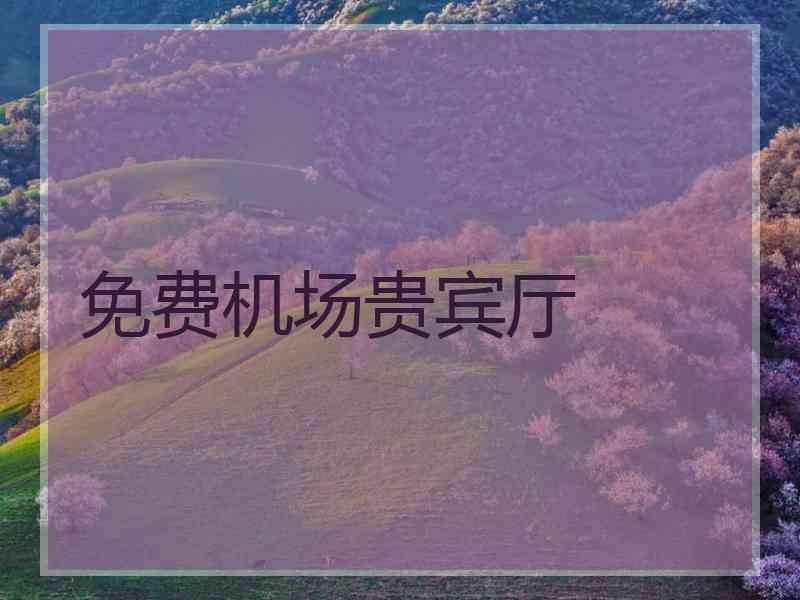 免费机场贵宾厅