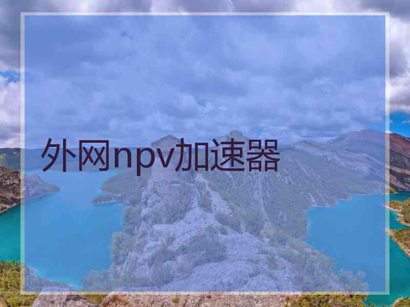 外网npv加速器