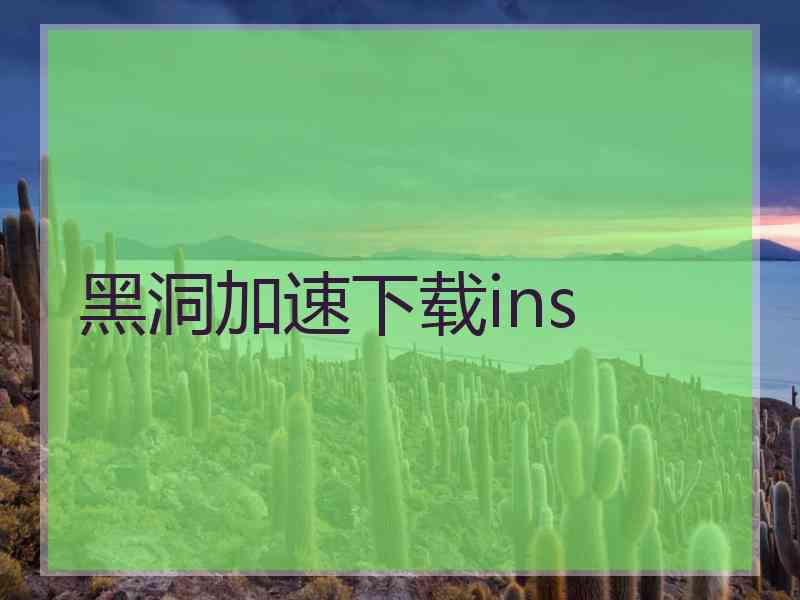 黑洞加速下载ins