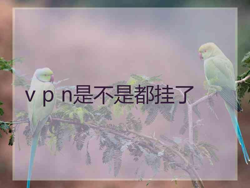 v p n是不是都挂了