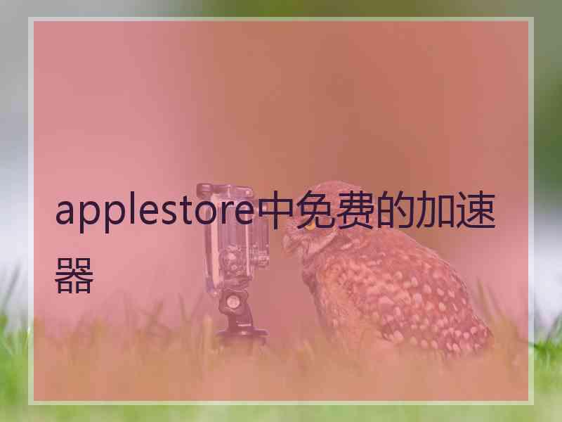 applestore中免费的加速器