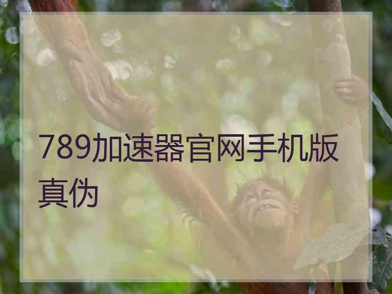 789加速器官网手机版真伪