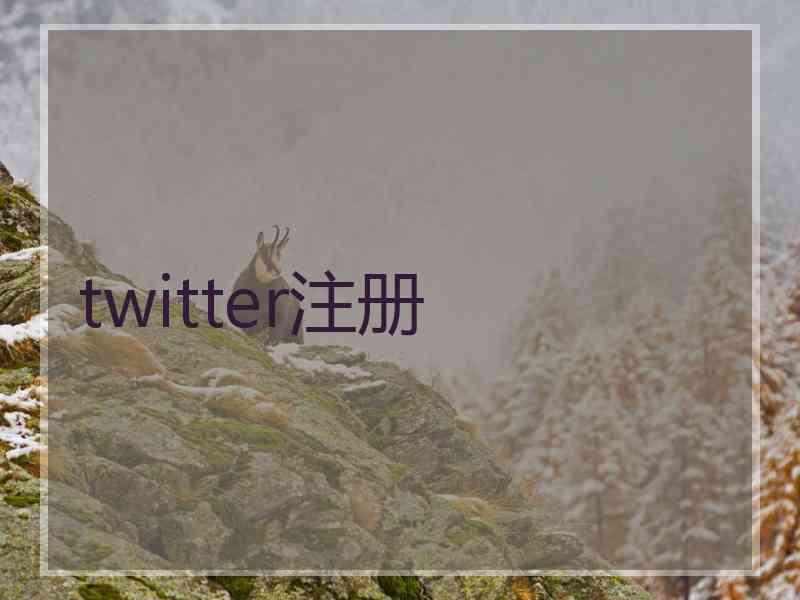 twitter注册