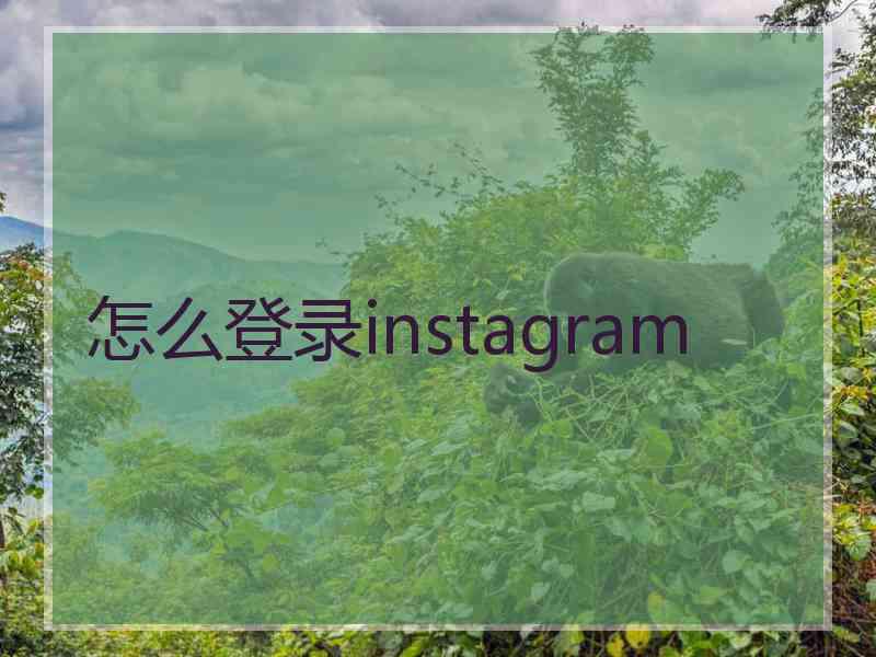 怎么登录instagram