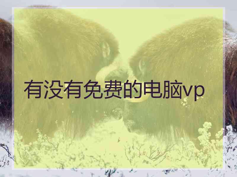 有没有免费的电脑vp