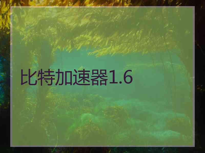 比特加速器1.6