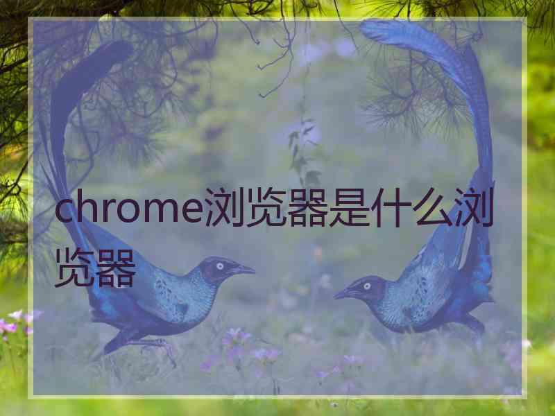 chrome浏览器是什么浏览器