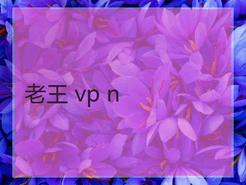 老王 vp n