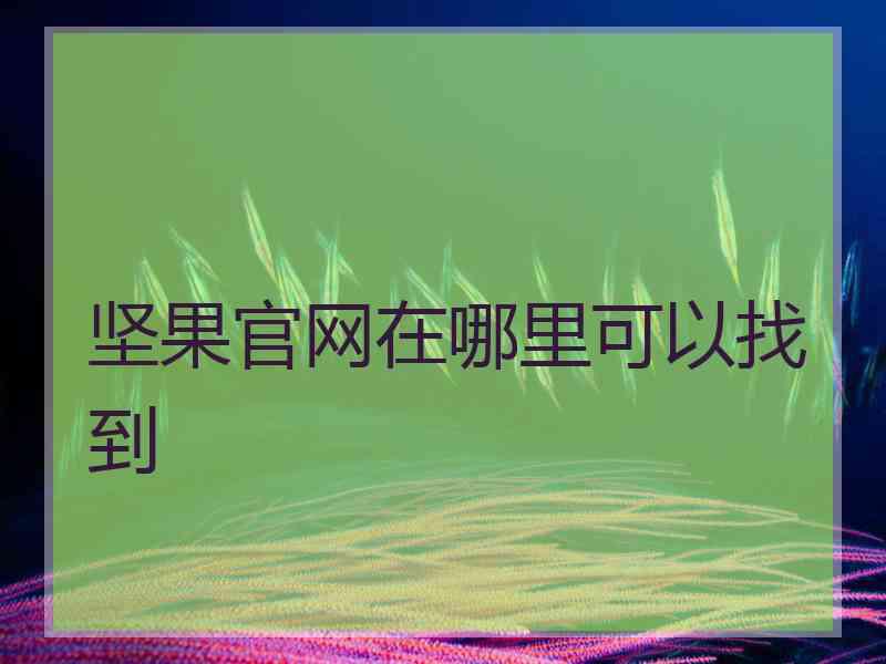 坚果官网在哪里可以找到